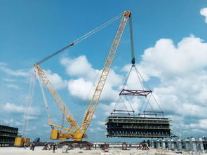 徐工 國(guó)產(chǎn)大吊車,僅出口三臺(tái),其中兩臺(tái)在這里