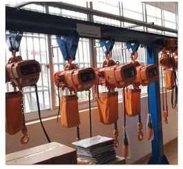 三鄉(xiāng)鎮(zhèn)運行式低凈空葫蘆鏈條葫蘆地基圖紙與起重機選型指南